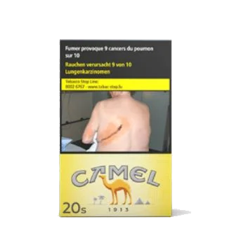Camel Filters 10*20