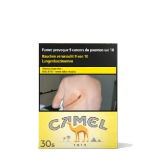 Camel Filters 8*30