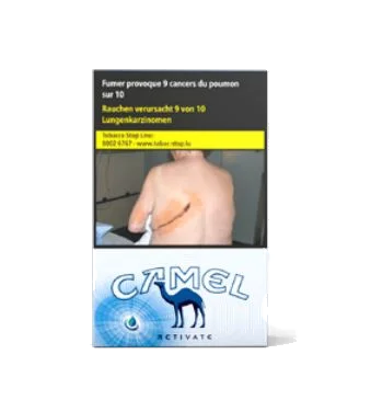 Camel Activate White 10*20