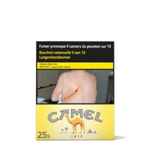 Camel Filters 8*25