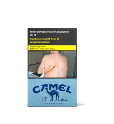 Camel Natural Blue 10*20