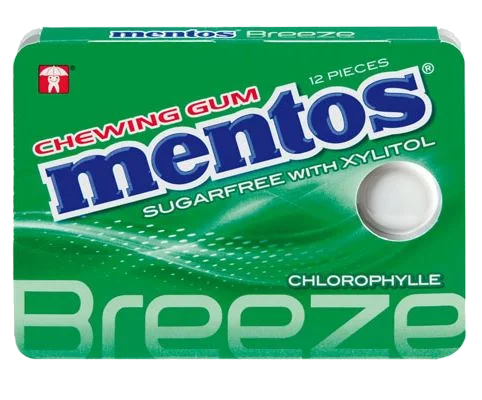 Mentos Gum Chlorophylle 17.5g