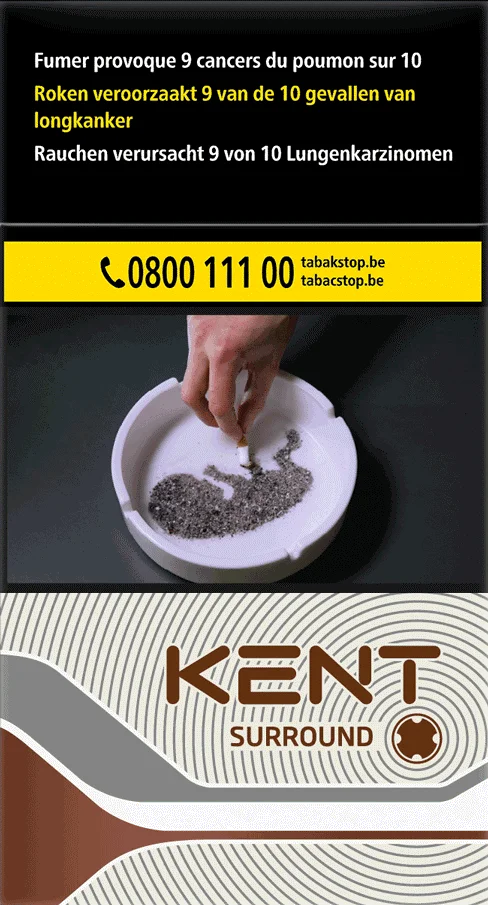 Kent Surround 100s 10*20