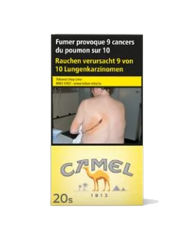 Camel Filters 100s 10*20