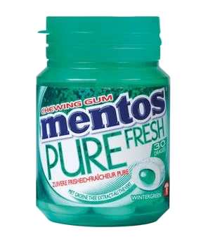 Mentos Gum Pure Wintergreen 60g