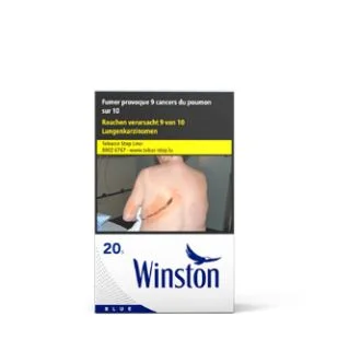 Winston Blue 10*20