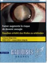 Gauloises Brunes Filtre 10*20