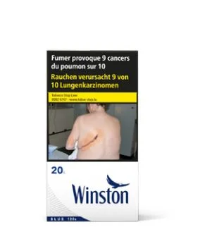 Winston Blue 100s 10*20