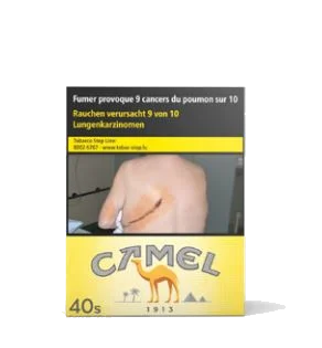 Camel Filters 5*40