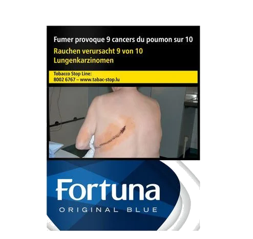 Fortuna Blue 8*25